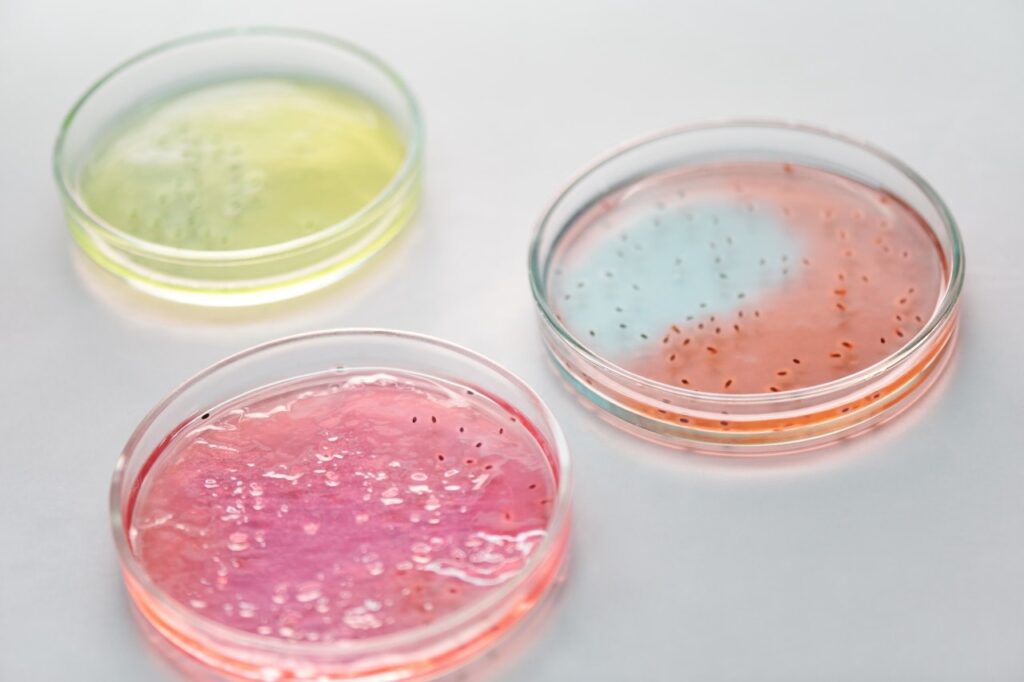 Petri dishes with rapid microbial growth cultures